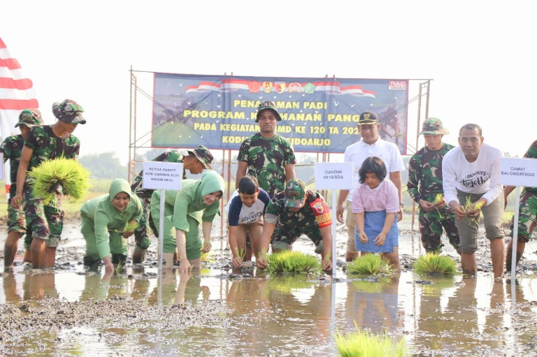 Kegiatan Tanam Padi dan Pohon Misi Hijau TMMD ke-120 Kodim&nbsp;0816/Sidoarjo